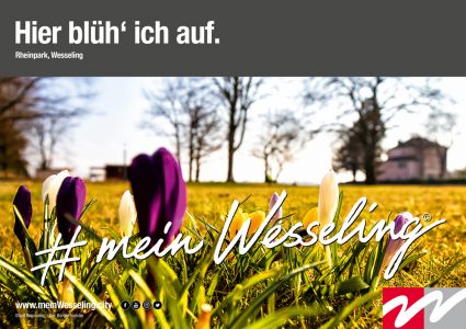 Hier blü'h ich auf