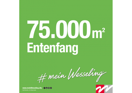 Info_post-E