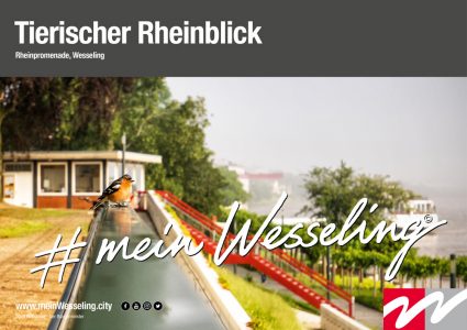 Tierischer Rheinblick